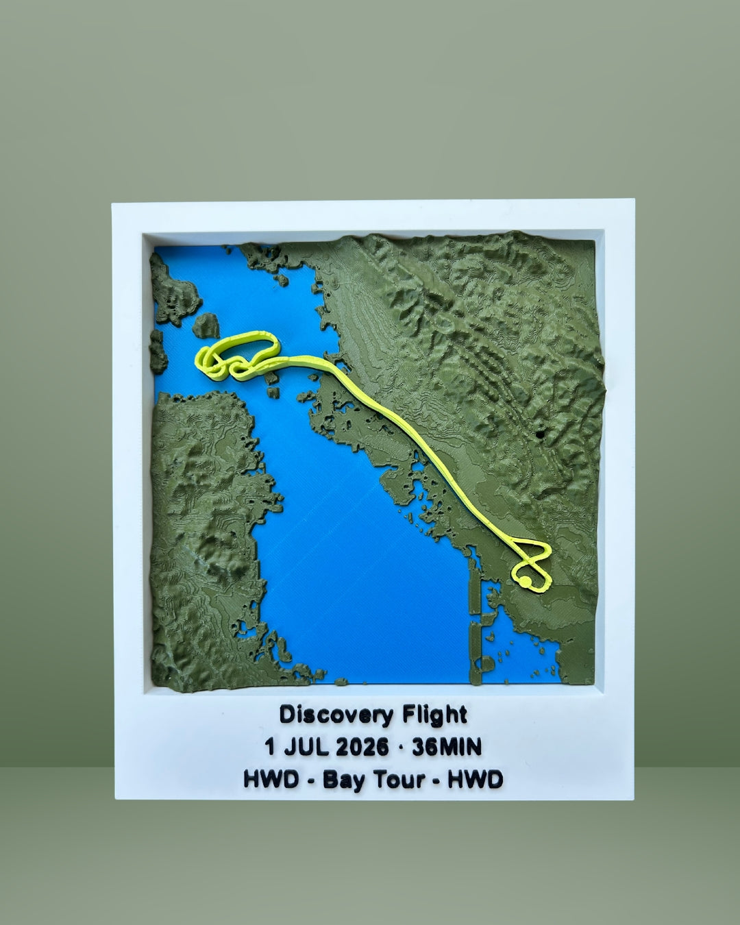 Custom Designed Flight Path (Pre-Order)